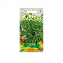 Pelyněk estragon estragon 0,09g - ZELSEED | FLORASYSTEM