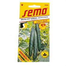 UHORKA ŠALÁT.ANDROMEDA F1 10s. - SEMO | FLORASYSTEM