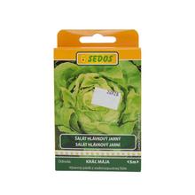 SALÁT seté hlávky. JAR., KRÁL máje, VP5m, 50sem. - ostatné | FLORASYSTEM