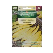 FAZOLE ZAHRADNÍ Giallo 30g - ostatné | FLORASYSTEM