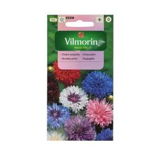 Chrpa polní 1g - Květiny letničky | FLORASYSTEM