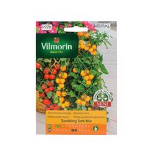 Rajčete hrnkových převis. Tumbling TOM RED - FLORASYSTEM