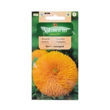 SLUNEČNICE Sungold 2g - FLORASYSTEM