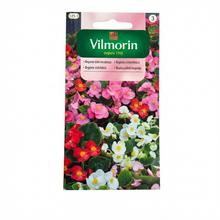 BEGÓNIA VŽDY KVITNÚCA 0,02g - ostatné | FLORASYSTEM