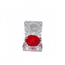 Ruža preparovaná v krabičke červená