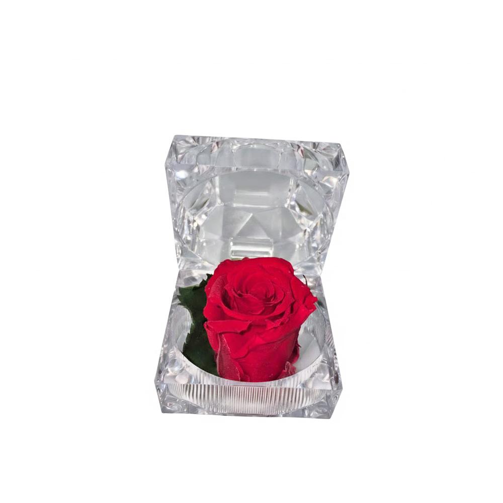 Růže preparovaná v krabičce červená