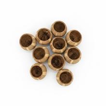 3529 Bel cup disco natur 5-7,5cm 12ks - Sušený materiál | FLORASYSTEM