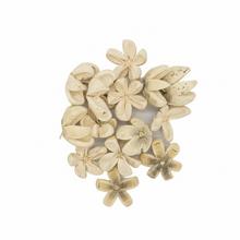 2632 Kartush 5-7cm biel. 12ks - Sušený materiál | FLORASYSTEM