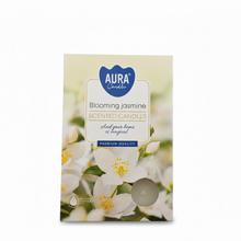 Čajová voňavých / 6 květy jasmínu - FLORASYSTEM