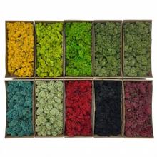 Mach Icelandic moss preparovaný- box - FLORASYSTEM