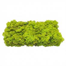 Preparovaný mach v boxe 500g so SOBOM