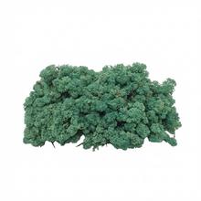 Preparovaný mach v boxe 500g so SOBOM