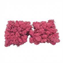 Preparovaný mach v boxe 500g so SOBOM