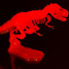 Stavebnica na výrobu kostry dinosaura svojpomocne, cca 10 cm