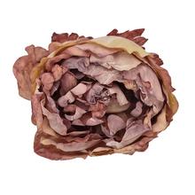 HLAVA PIVONKA STARORUŽOVÁ 10CM BAL12KS - FLORASYSTEM