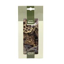 Lotus mini nature 10x5x22cm 10pc - Suché vianočné | FLORASYSTEM