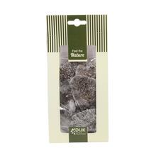 Mushroom sponge nature 10x5x22cm 50gr - Suché vianočné | FLORASYSTEM