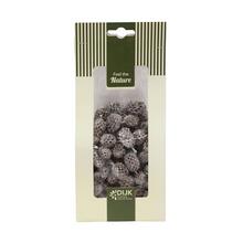 Casuarina nature 10x5x22cm 100gr - Suché vianočné | FLORASYSTEM