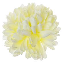 HLAVA chryzantémy 10cm CREAM - FLORASYSTEM