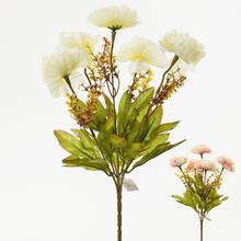 KYTICE Ranunculus MIX 2 BARVY BIEL / PE 34cm - FLORASYSTEM