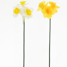 NARCIS MIX 2 FAR. 40cm - FLORASYSTEM