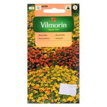 Semena aksamiatnice tenkolisté v balení 0,5g.