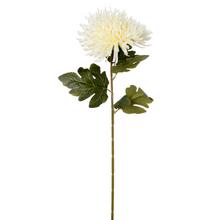 Umělá chryzantéma v krémové barvě s dlouhým stonkem.