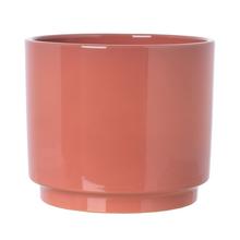 Obal na květiny Oslo Lychee v růžové barvě, 19 cm.