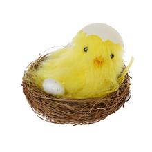 Kohout v hnízdě s vajíčkem