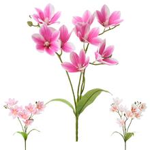 Kytice magnólie liliokvěté s růžovými květy.