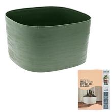 Obal Rodi 37 Forest v zelené barvě, čtvercový design.