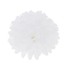 Bílá hlava chryzantémy o průměru 10 cm.