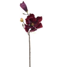 Umělá magnólie v bordové barvě s výškou 58 cm.