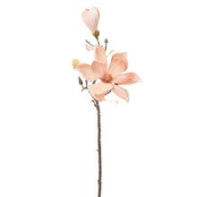 Umělá magnólie v hnědé a broskvové barvě, 58 cm.