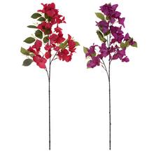 Větev Bungevila mix s červenými a fialovými květy.