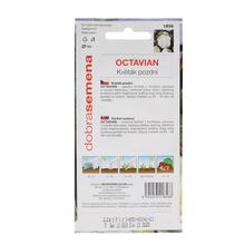 Semena pozdního květáku Octavian 0,3g.