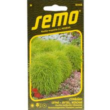 Semena kochie metlovité v balení 0,7g.