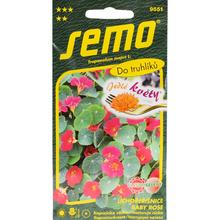 Semena kapucínky Baby Rose s jedlými květy.