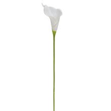 Umělá květina Calla bílá 70 cm