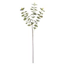Umělé květy Eucalyptus Cinerea v zelené a šedé barvě, 83 cm