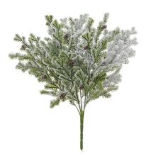 Zasněžená větev čečiny se šiškami.