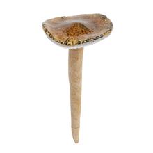 Keramická houbu v zelené a bílé barvě.