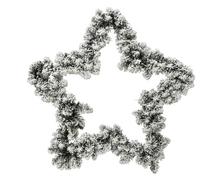 Hvězda jedlová se sněhem