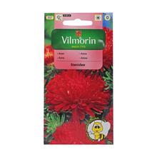 Semena ASTRA čín.pivon. STANISLAW 0,5g