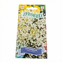 Semena gypsomilky bílé trvalky 0,8g