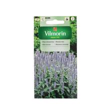 Semena mexické máty 0.1g