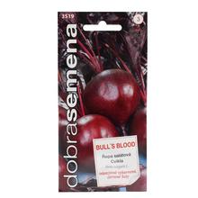 Semena červené kulaté řepy Bulls Blood.