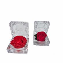 Růže preparovaná v krabičce červená