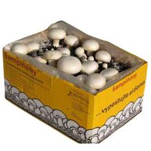 Substrát pro pěstování žampionů v balení 6,5L.