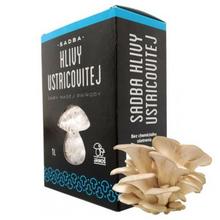 SADBA HLIVA USTRICOVÁ 1L v obalu